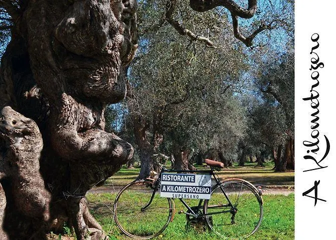 לינה וארוחת בוקר Kilometrozero 3*